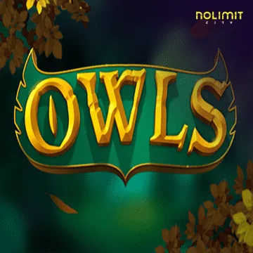 Owls - PLACEBET138