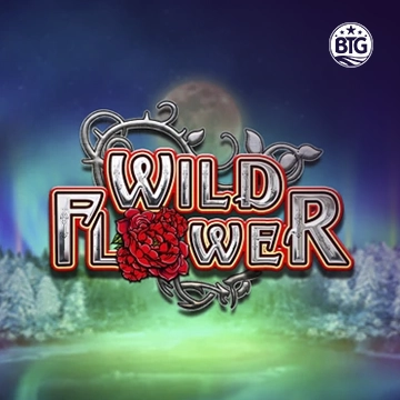 Bigtime : Wild Flower - PLACEBET138