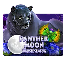 Panther Moon - PLACEBET138
