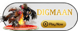 Digman - PLACEBET138